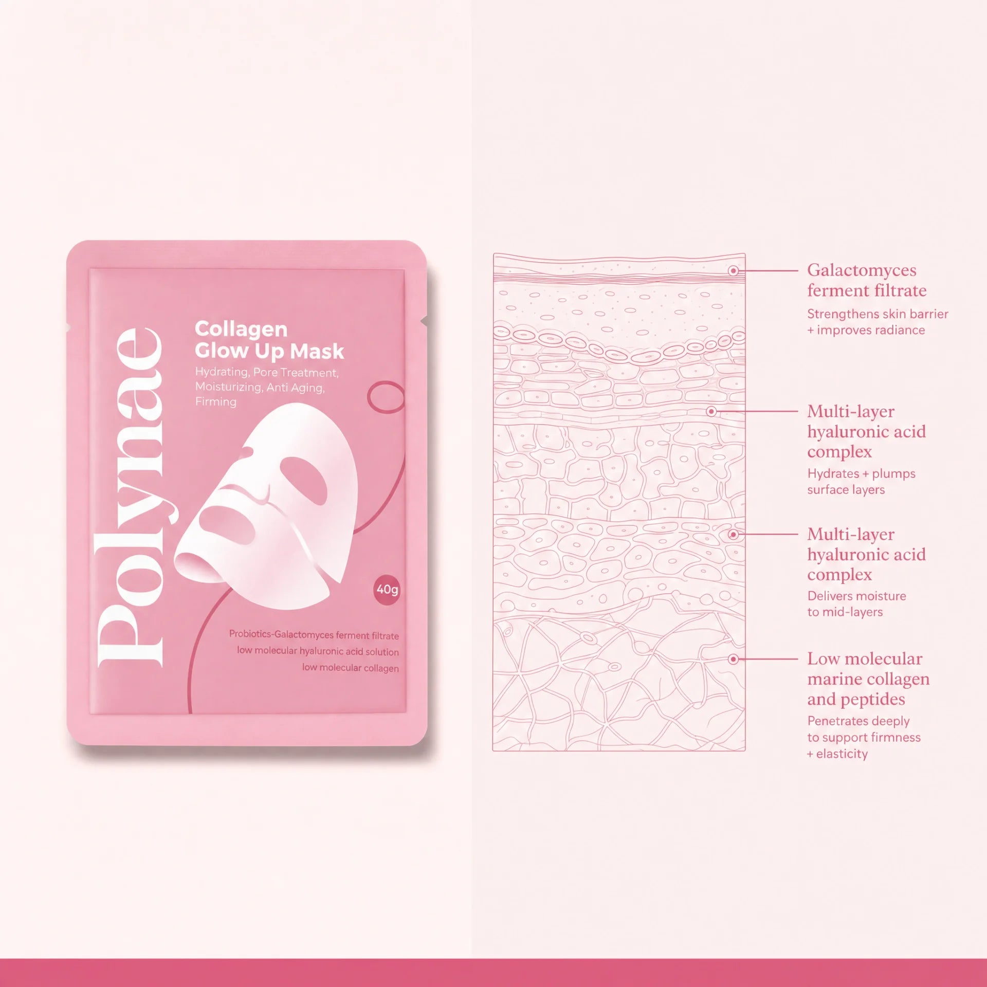Polynae Collagen Glow Up Mask pouch beside a cross-section diagram of skin layers labeled with Galactomyces ferment filtrate, multi-layer hyaluronic acid comple