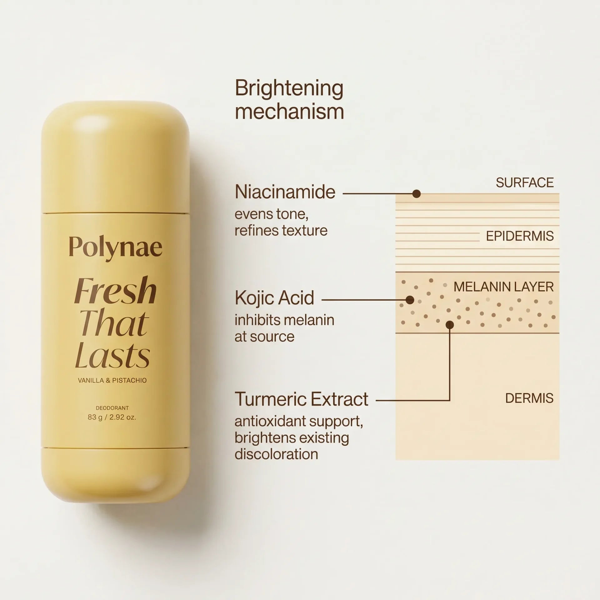 Polynae deodorant beside a cross-section diagram of skin layers showing where Niacinamide, Kojic Acid, and Turmeric Extract each act to brighten underarm skin